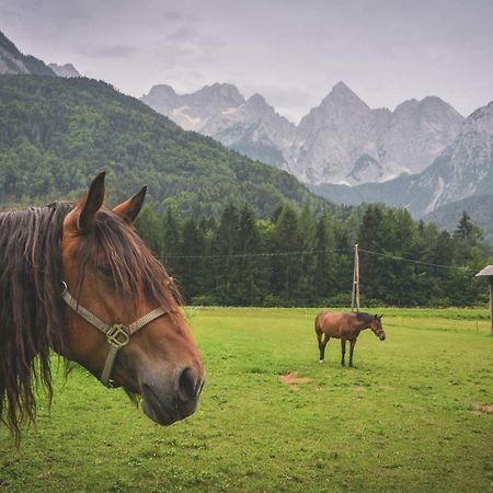 Klass 210 Kranjska Gora Esterno foto