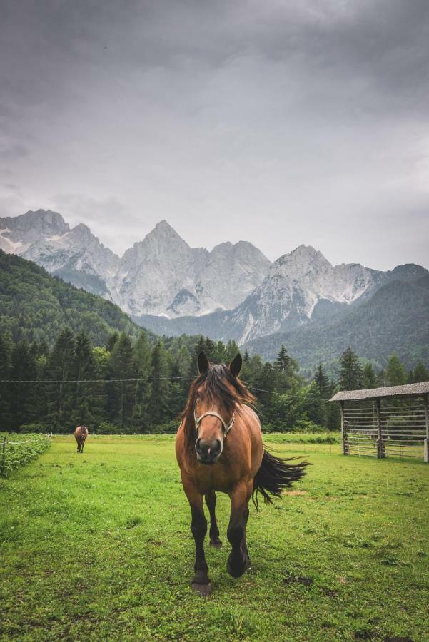 Klass 210 Kranjska Gora Esterno foto