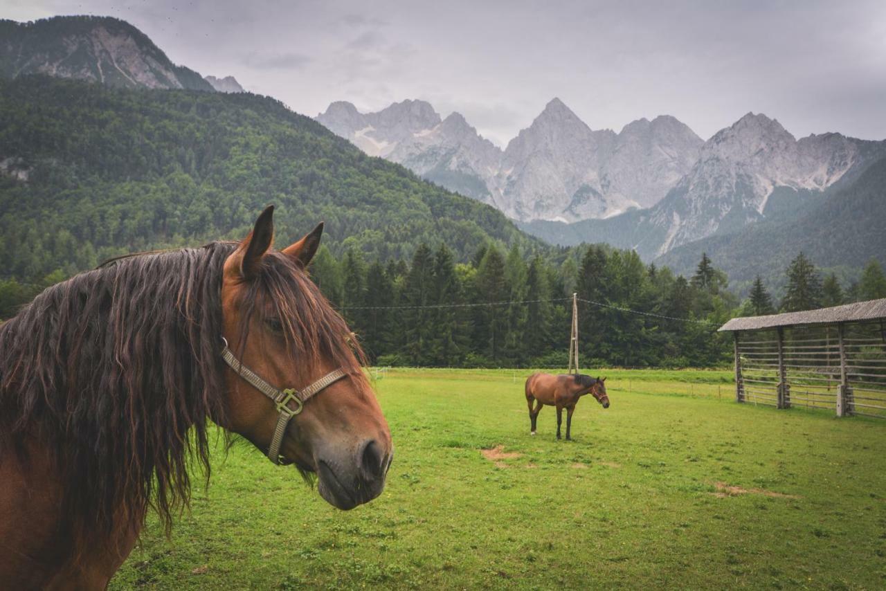 Klass 210 Kranjska Gora Esterno foto